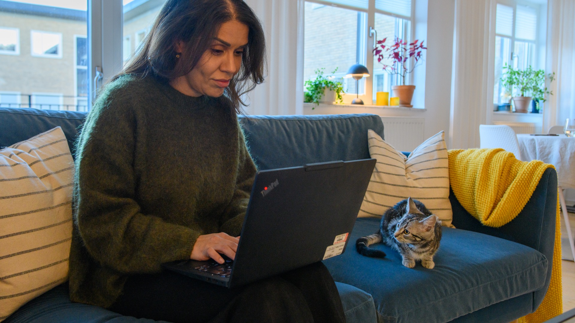 En kvinna sitter i en soffa och skickar e-post. Bredvid ligger en katt.